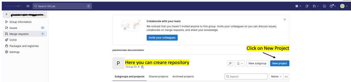 GitLab Setup Image
