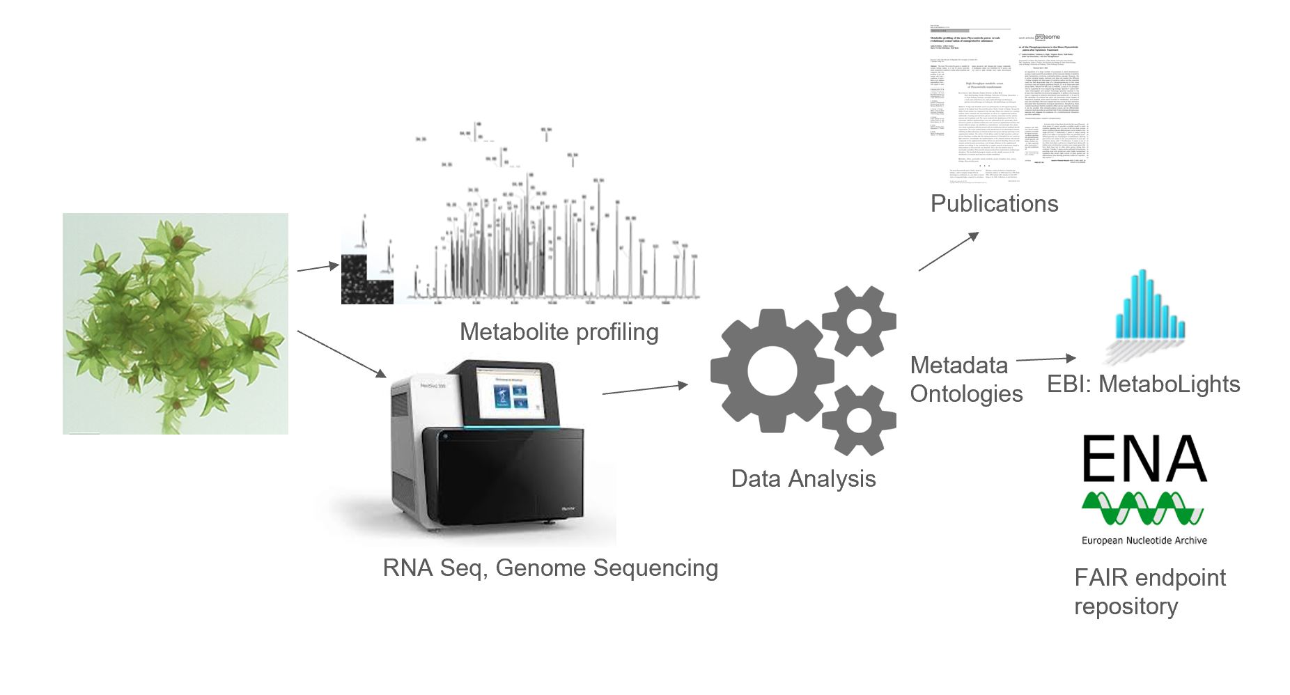 Research context